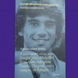 Born striker - Stefano Borgonovo